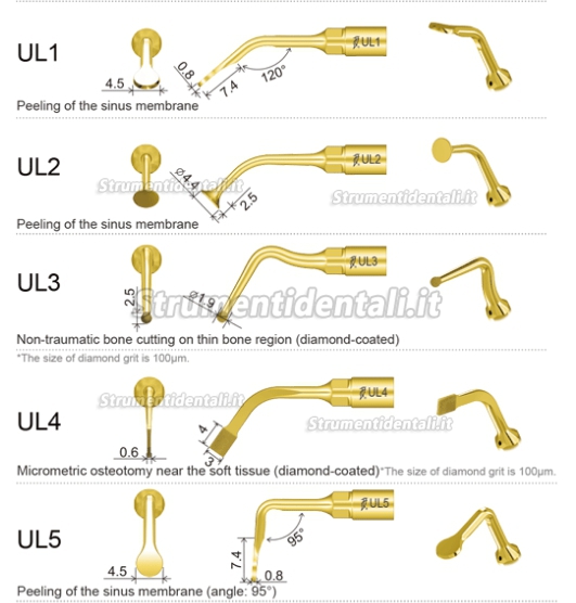 Woodpecker® Inserti Pizeo Sinus Ascensore Chirurgia Kit